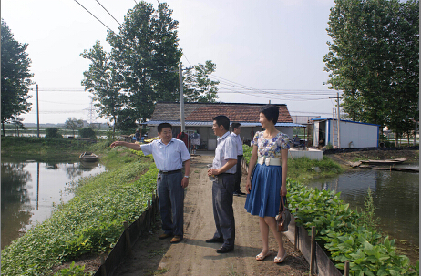 2014年7月3日,泰兴市气象局组织人员来到扶贫村—新街镇白马村,实地