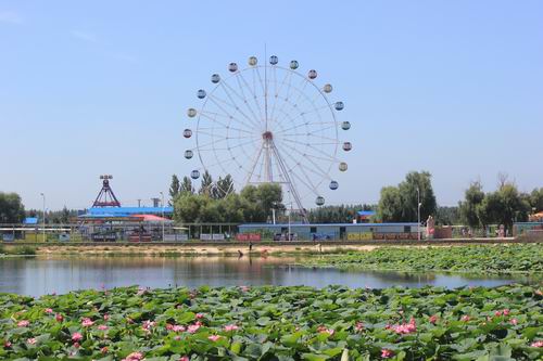 蒲河廊道为轴心的旅游观光景点,并成功举办了中国·沈阳首届城市湿地