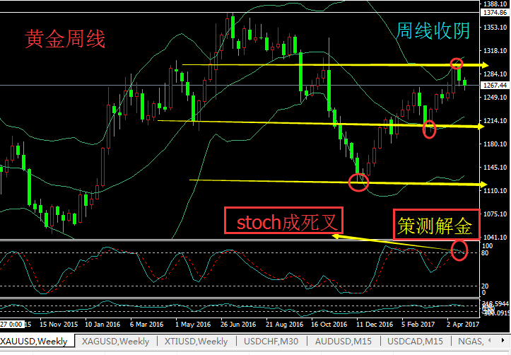 http://tpic.home.news.cn/xhBlog/xhpic002/M00/85/F9/wKhThVkEYEUEAAAAAAAAAAAAAAA265.png