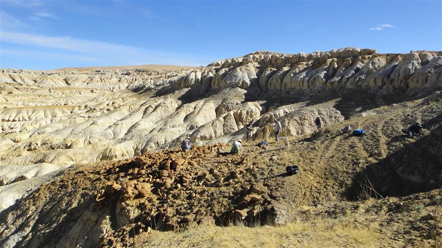 西藏阿里发现400多万年前鬣狗化石 图-书画-炫