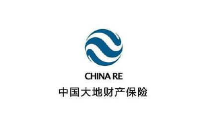 战“疫”最前线：中国大地保险湖北分公司以担当为党旗增辉添彩