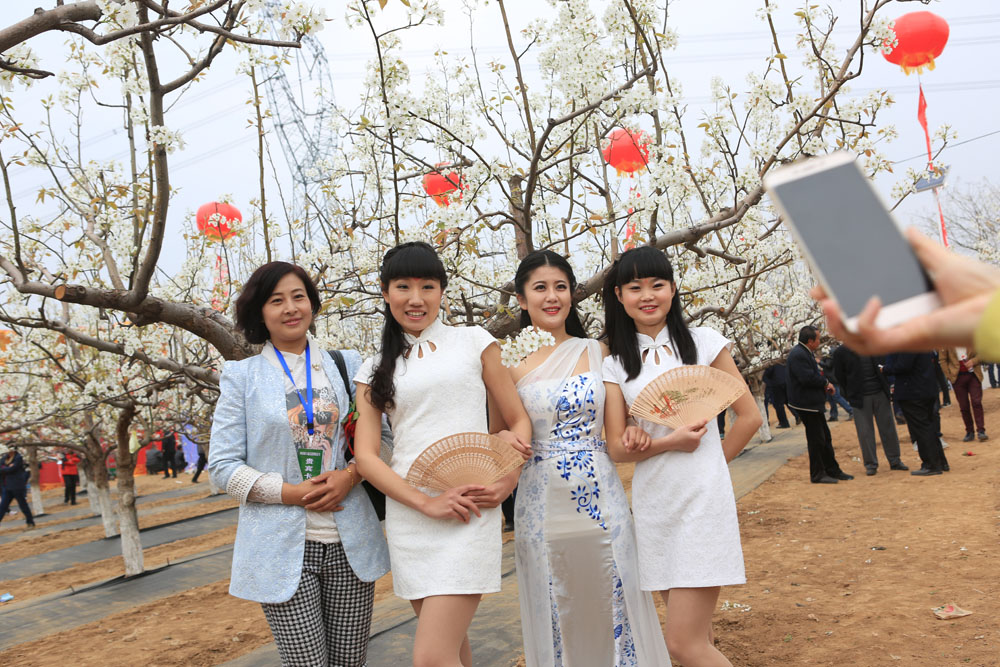 山西隰县第六届玉露香梨花节启幕