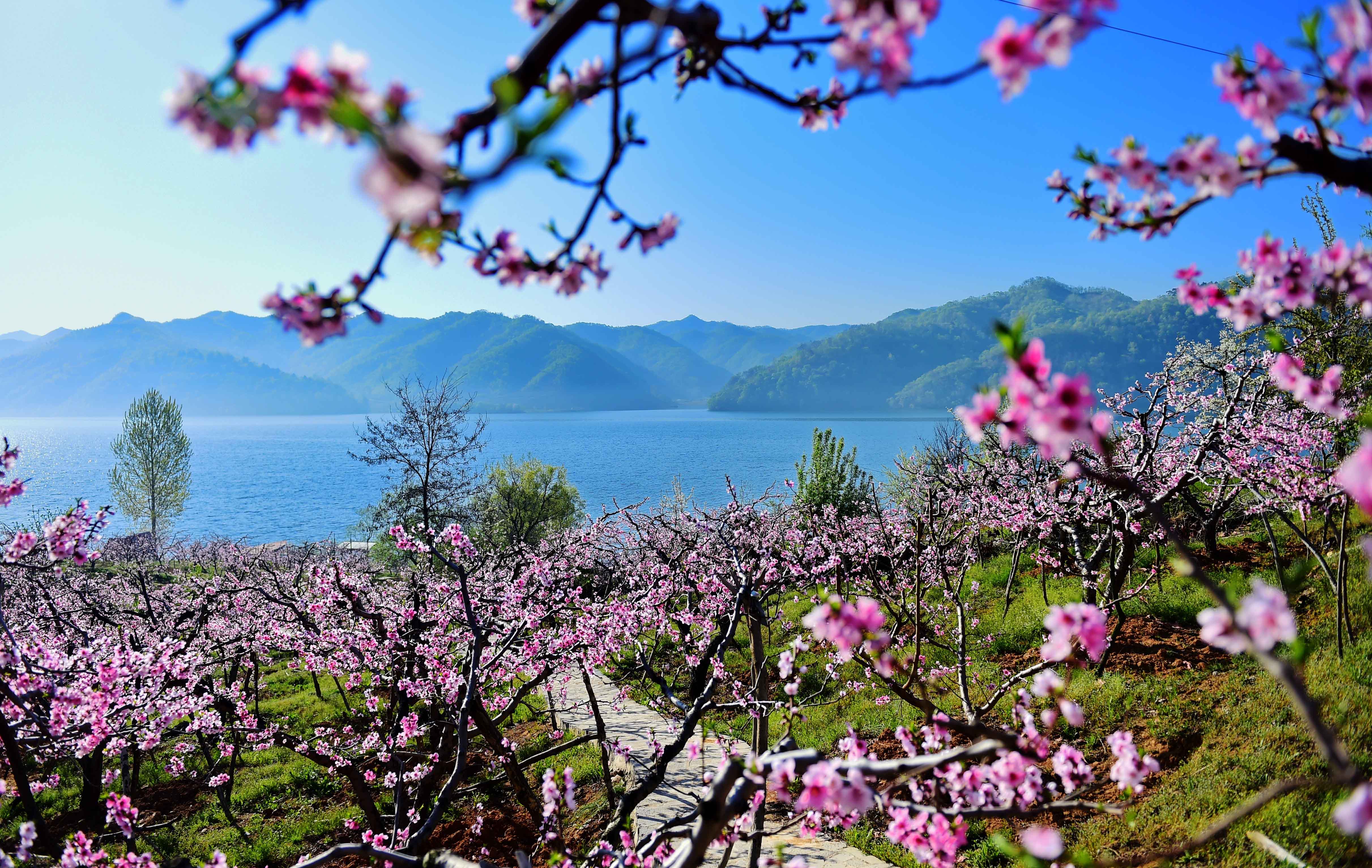 【辽东游记】丹东-河口景区——《在那桃花盛开的地方》 - 知乎