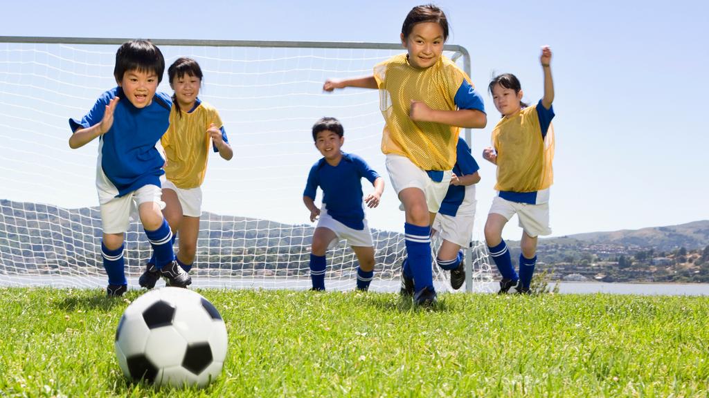 沈阳:儿童足球公园将开展公益培训体验日活动