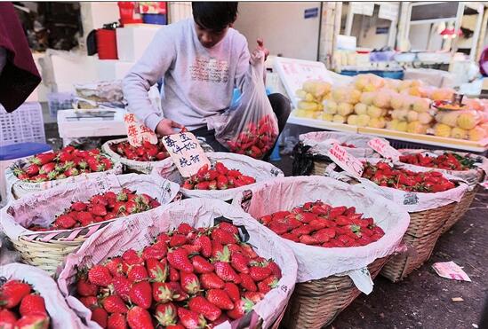 春季水果 鲜 入为主 昆明市场枇杷草莓菠萝成新