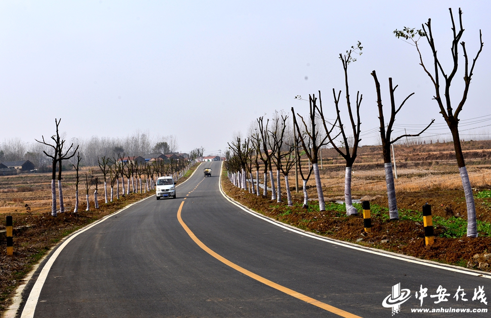长丰县三年内将完成改造道路工程2370公里-新