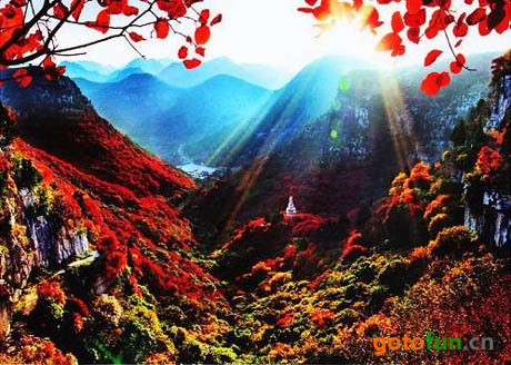 广州流溪河国家森林公园 红叶烂漫正此时