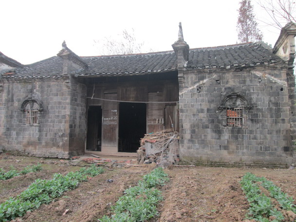 谢岳成 李建阳摄 在湖北省监利县柘木乡黄家岭村冷水港墩