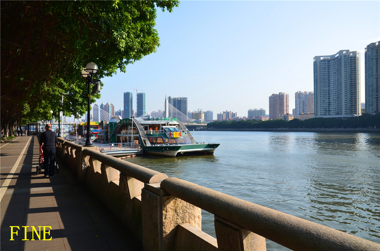 城市风采  喜欢沿江路遮天蔽日的大榕树,     帖子附图