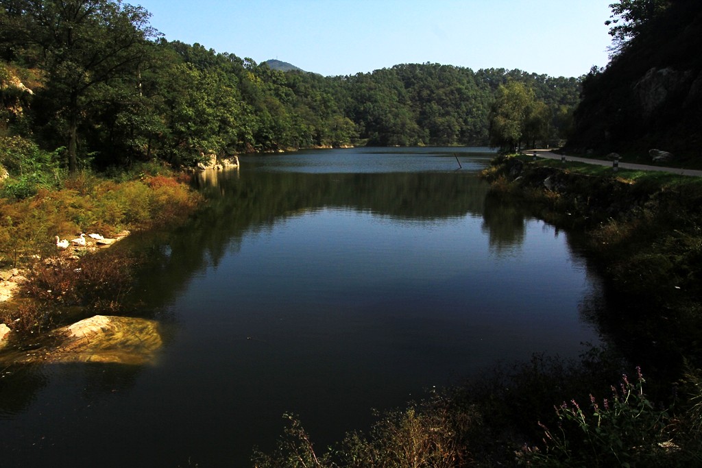 山东药乡国家森林公园 - 天池景区