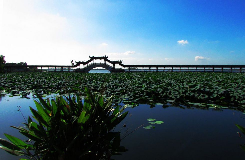 锦溪湿地公园