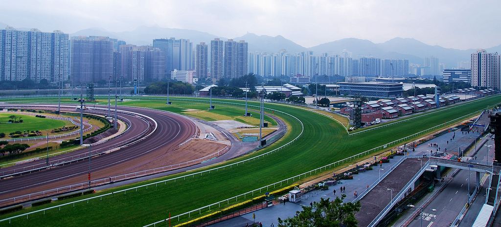 标题:香港沙田马场看到郭富城