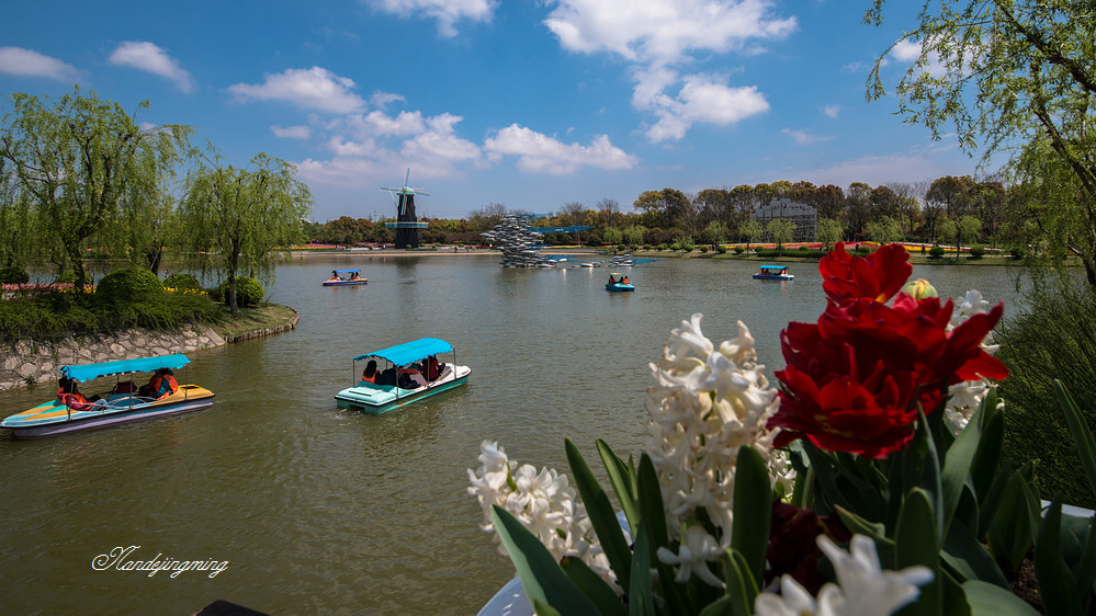 五一上海鲜花港_五一劳动节手抄报_五一劳动节劳动图片