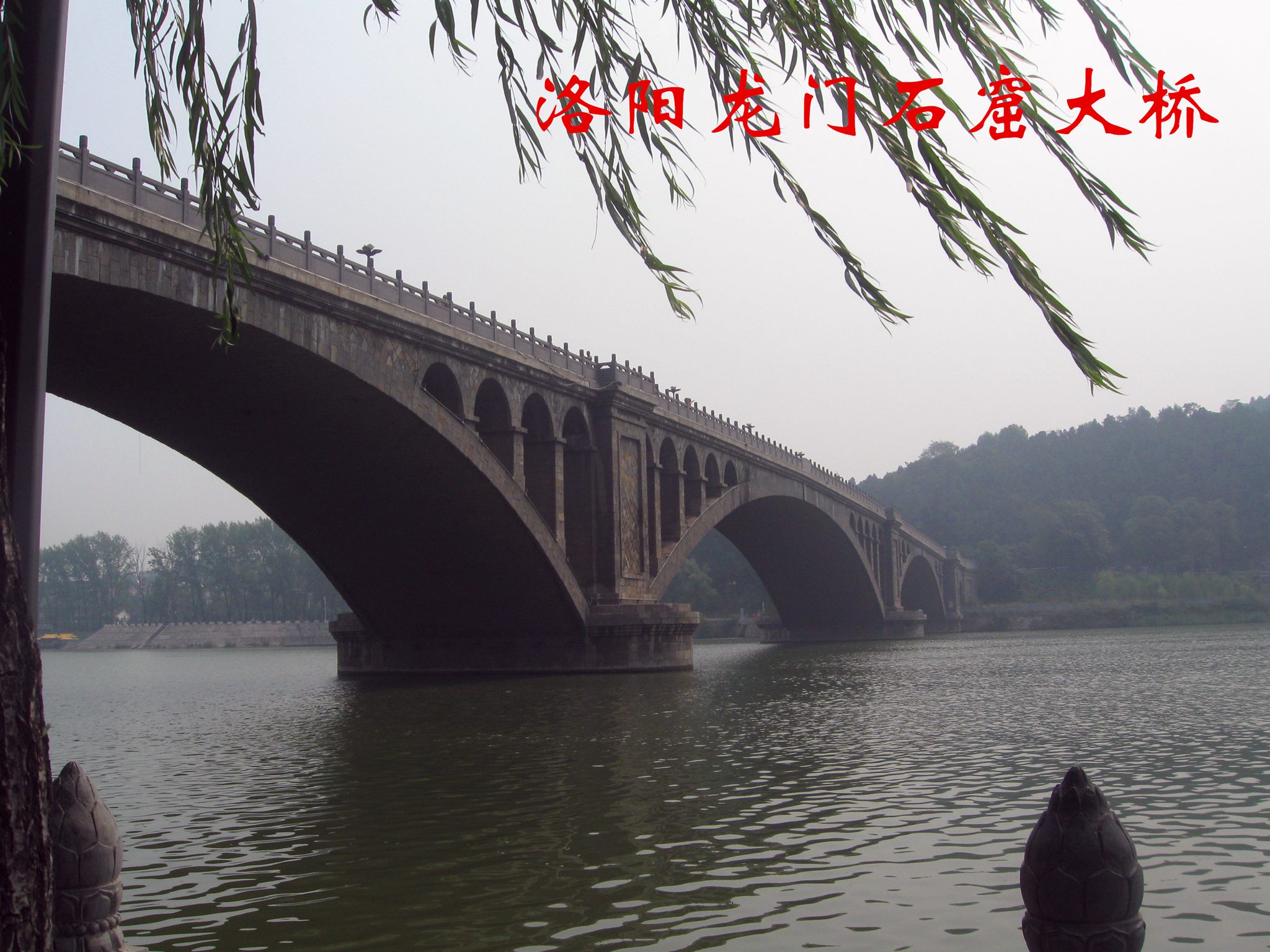 同学法则参观宁夏、洛阳、西安固原(二):畅游游高中洛必达数学高中图片