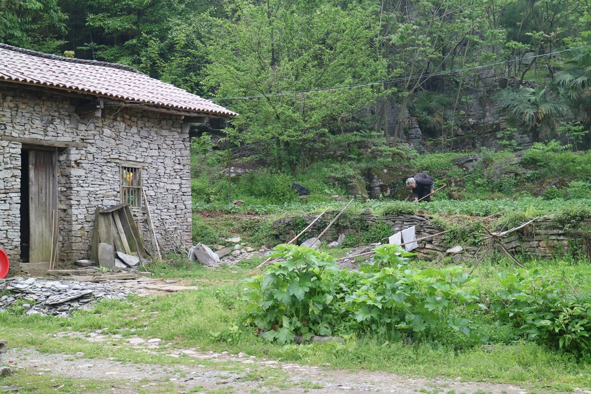 03.jpg