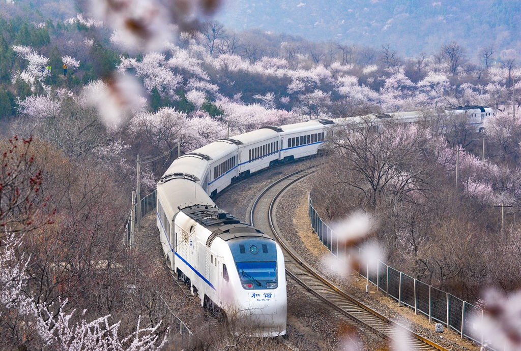 09.jpg
