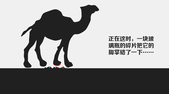 ??????_20181206090859.gif