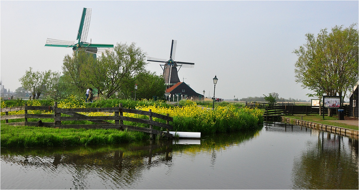 【欧洲行记】荷兰阿姆斯特丹附近的风车村