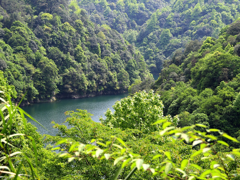 新茶季--看池州霄坑大峡谷风光