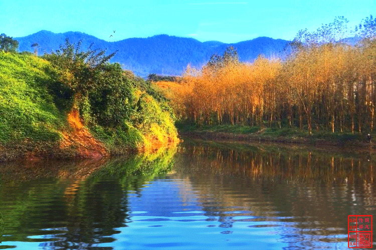 Q Tbn 3aand9gctmkblgxekfudpgf M7gghz2l9lcewpbjqkva Usqp Cau