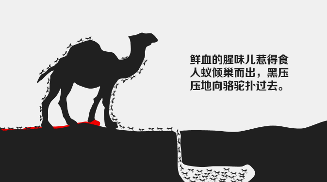 ??????_20181206090916.gif