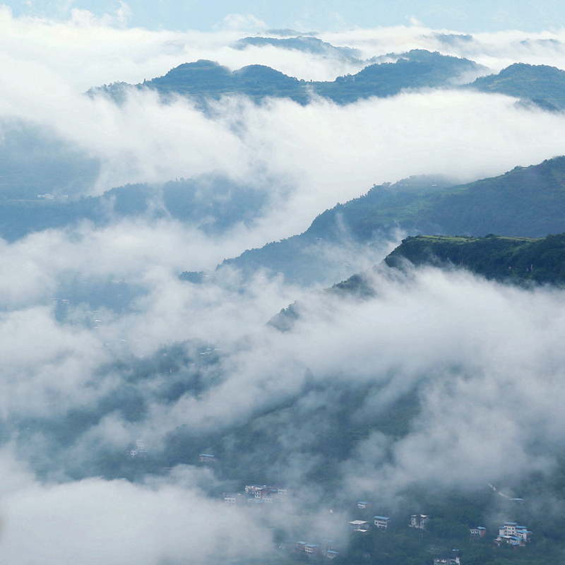 云雾缭绕的壮美梯田