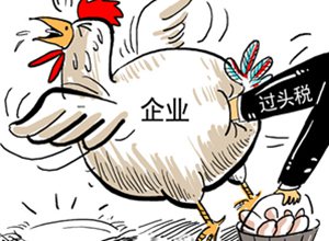 收入证明_属于不征税收入的有(2)