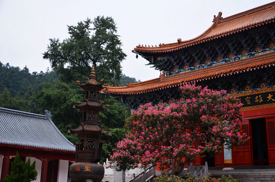 河南 罗山县 灵山寺