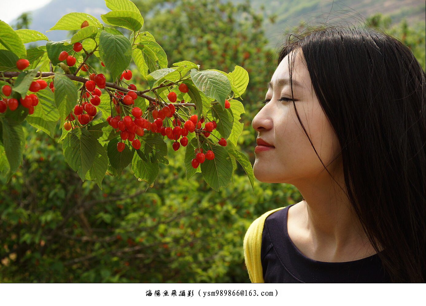 樱桃磁力搜索