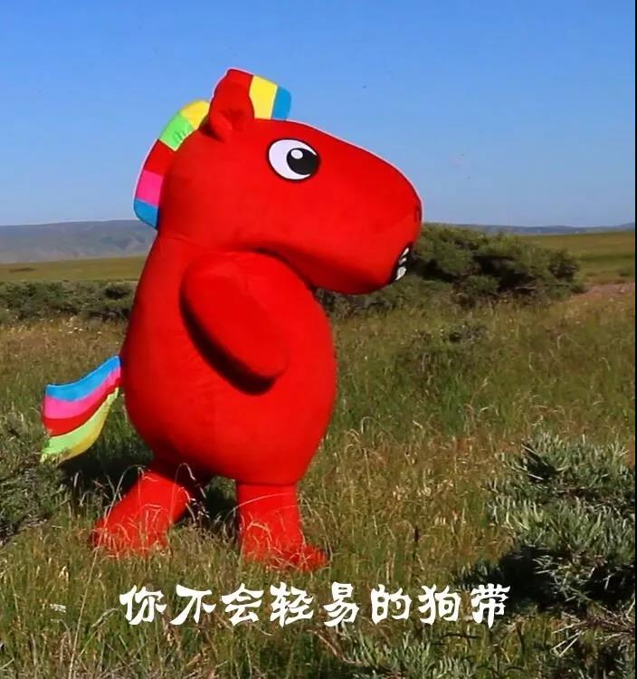 这是中国小红马 五彩驹实实在在的一份叮嘱