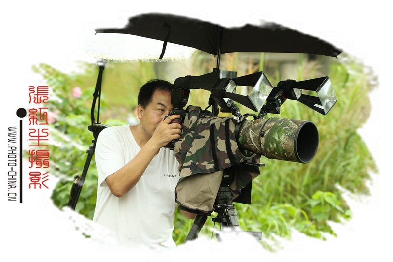 红生摄影●鸟图-中国国际华人影业有限公司(香