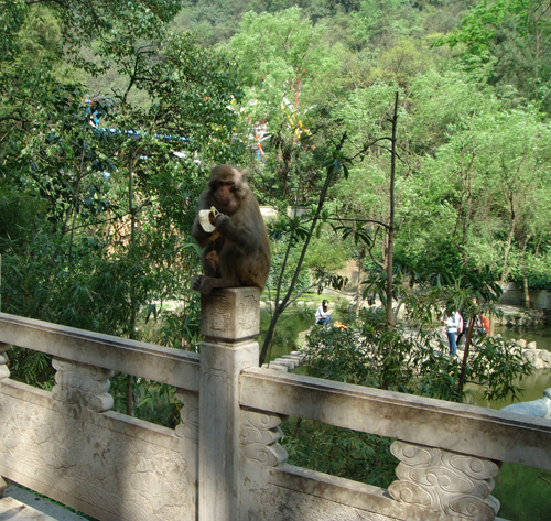 貴陽黔靈山公園下