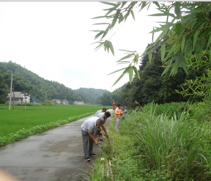 月19日,上前村党总支组织广大党员开展了"铲除杂草,美化家园"为主题