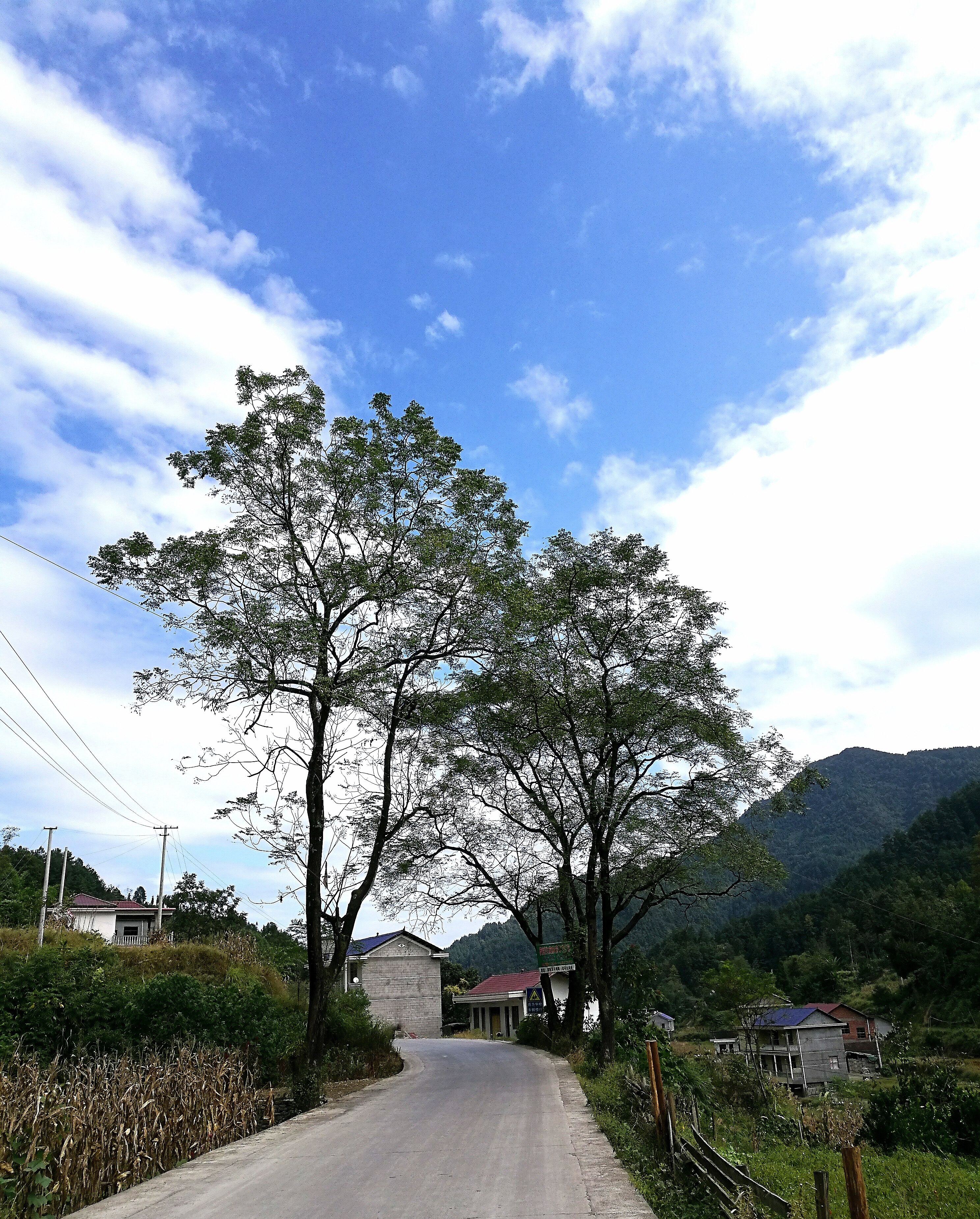 晴空##空氣清新,和諧安祥,湖南張家界市桑植縣八大公山鎮的邊遠小山